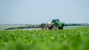 ТОП порад від FMC для захисту кукурудзи, соняшнику та сої