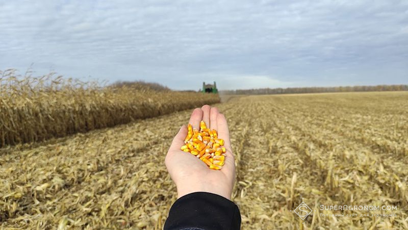 Збирання урожаю кукурудзи в «МХП-Урожайна країна»