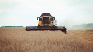 Збирання врожаю зернових