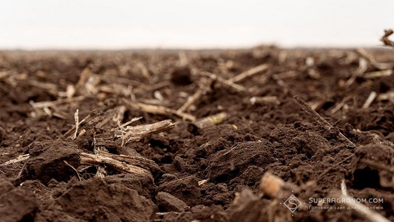 Проблема деградації ґрунтів. Сучасний стан, ризики та способи подолання