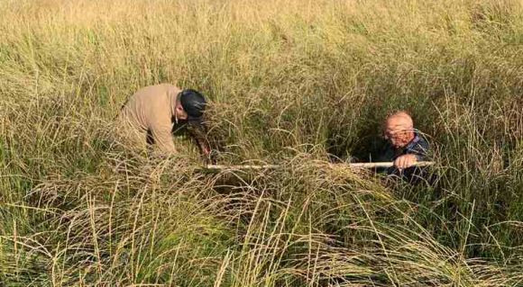 Збирання врожаю кернзи