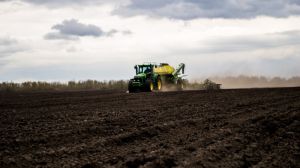 В Україні спостерігається скорочення посівних площ під зерновими культурами