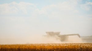 Кіровоградщина завершить жнива ранніх зернових в рекордно короткі строки