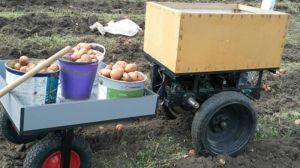 Тернопільський винахідник створив агродрона для обгортання та копання картоплі