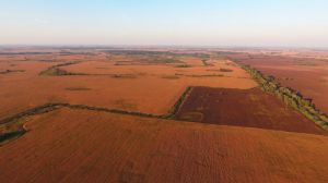 Кластер визнано найкращою формою розвитку сільських територій в Україні