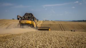 Валовий збір зерна на Запоріжжі сягнув позначки 2 мільйони тонн