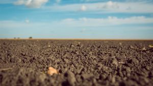 Американські вчені розробили новий тест на визначення насиченості ґрунту азотом