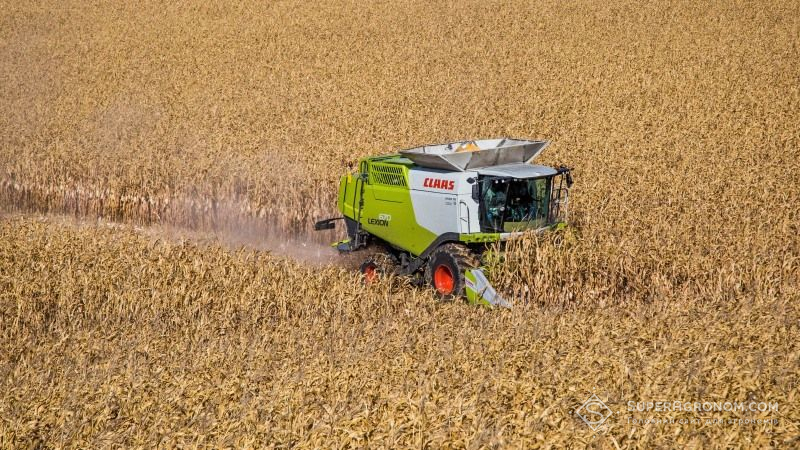 Чорноморському регіону пророкують рекордні врожаї кукурудзи