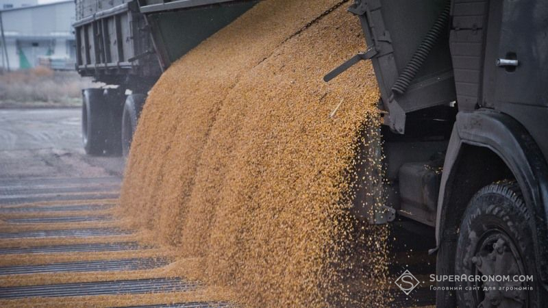 В НБУ переглянули прогноз щодо врожаю зернових
