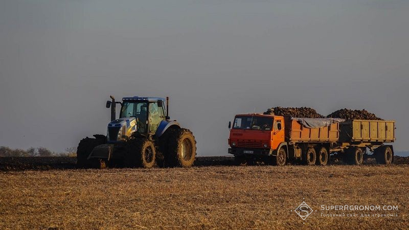 Названо цьогорічного лідера за врожайністю цукрових буряків в Україні