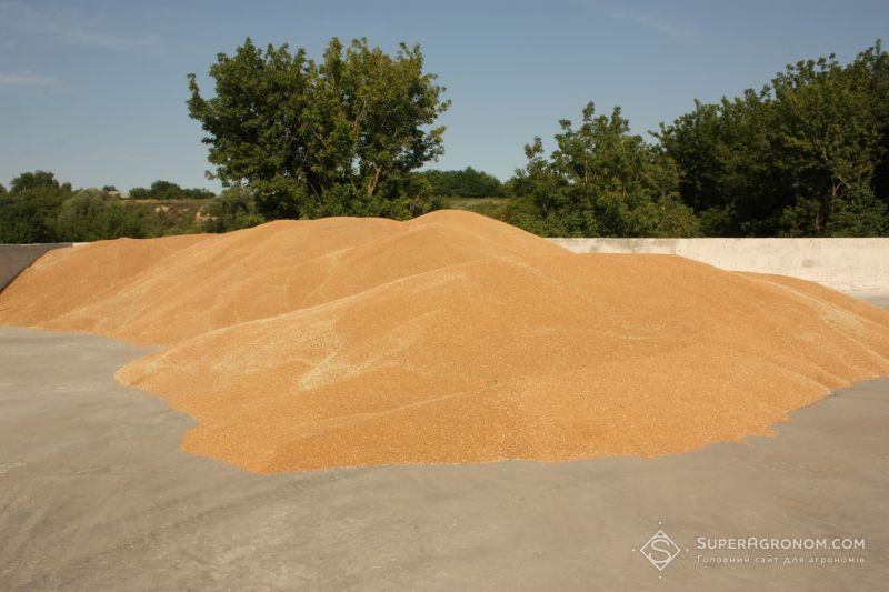 Виробництво агропродукції в Україні скоротилося на 14% за січень–вересень 2025 року Виробництво агропродукції в Україні скоротилося на 14% за січень–вересень 2025 року