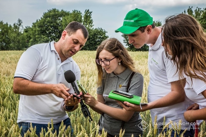 Олег Пащенко показує посіви пшениці