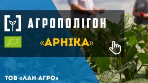 АгроПолігон Арніка: Вирощування органічної сої