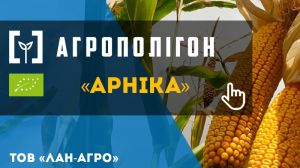 АгроПолігон Арніка: Вирощування органічної кукурудзи