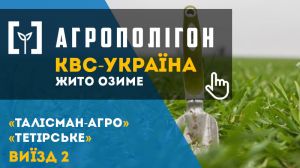 АгроПолігон КВС-УКРАЇНА: Озиме жито входить у зиму