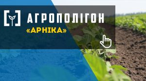 АгроПолігон Арніка: органічне вирощування сої, нуту, сочевиці