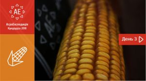 АгроЕкспедиція Кукурудза 2018. Хмельницька область: Подільська зернова компанія і Агро-ЮГ В