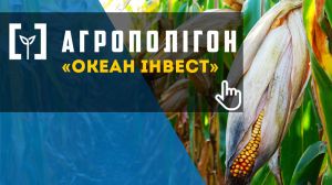 АгроПолігон Океан Інвест: Кукурудза в Лампка Агро