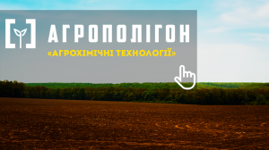 АгроПолігон АХТ. Кукурудза у ТОВ Ташань