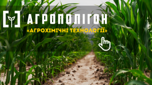 АгроПолігон АХТ: Кукурудза в Діброва і К — захист від сюрпризів погоди