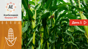 АгроЕкспедиція Кукурудза 2019: День 1