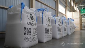 Асортимент насіння пшениці нового насіннєвого заводу Biligrain
