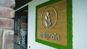 Секрети якості насіння Biligrain