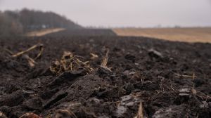 Кислотність ґрунту. Вплив зміни клімату та інших факторів