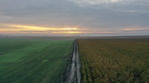 Регенеративне землеробство — відповідь на зміни клімату