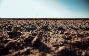Забруднення ґрунтів важкими металами в місцях падіння авіабомб та згорілої техніки: дослідження в Сумській області
