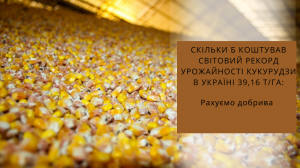 Скільки б коштував світовий рекорд урожайності кукурудзи в Україні 39,16 т/га: рахуємо добрива
