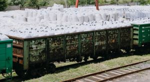 У Польщі скандал через «дешеві добрива» для України — фермери звернулися до прем’єра Туска. Що не так із їхніми звинуваченнями?