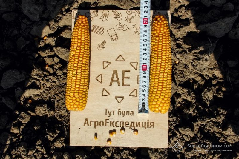 АгроЕкспедиція Кукурудза 2017. Житомирська область: Вега Агро та Полісся