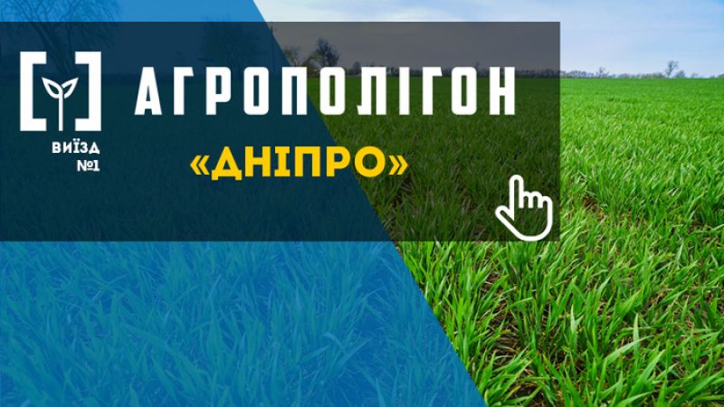 АгроПолігон: озима пшениця, ярий ячмінь та кукурудза на полях підприємства  Дніпро