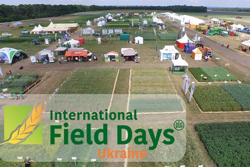 International Field Days — що подивитись на наймасштабніших днях поля