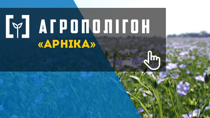 АгроПолігон Арніка: органічна технологія вирощування льону та технічних конопель