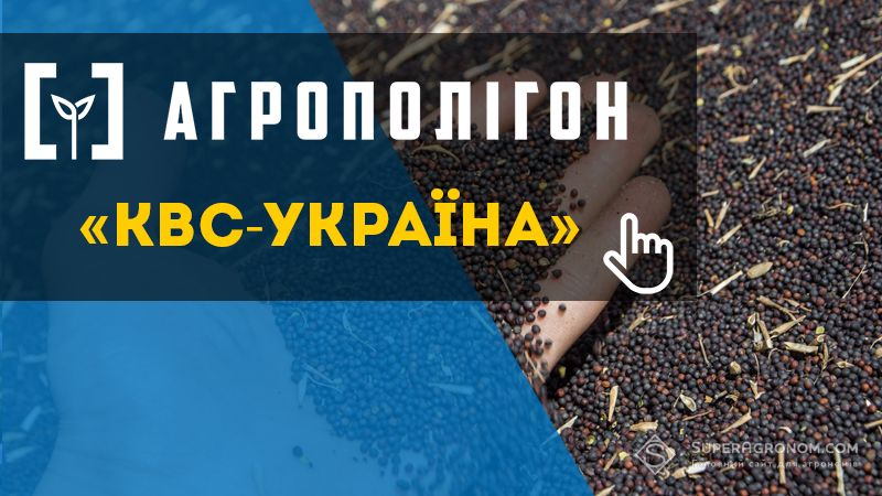 АгроПолігон КВС-УКРАЇНА: Озимий ріпак