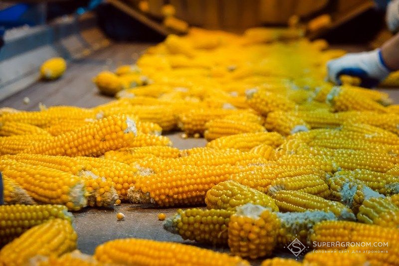 Визначення врожайності кукурудзи за факторами, що впливають на формування врожаю (американський досвід)