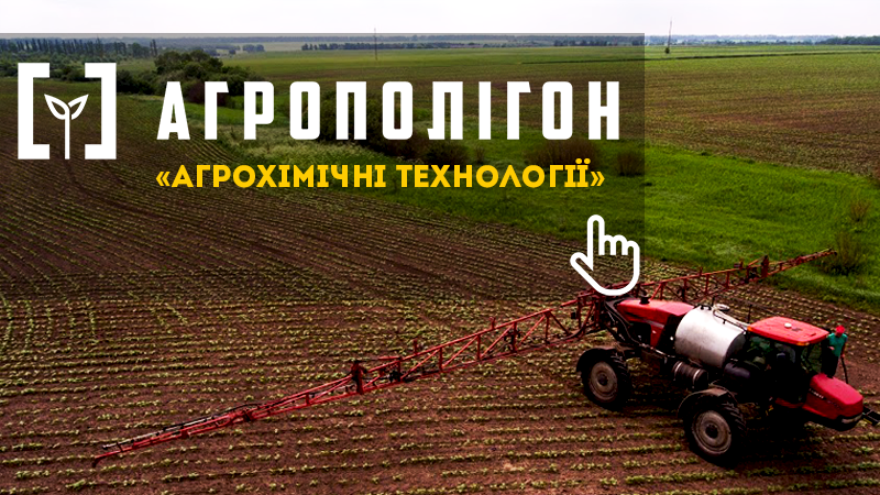 АгроПолігон АХТ: ІМІ-соняшник в ФГ Україна
