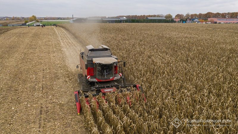 Збирання врожаю кукурудзи із дослідних ділянок Digital Field 