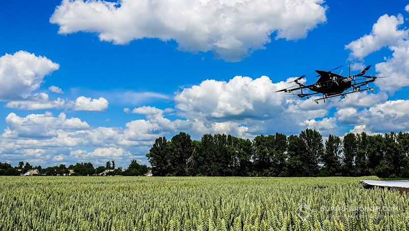 Внесення дронами добрив та ЗЗР на озиму пшеницю — як досягти кращого ефекту