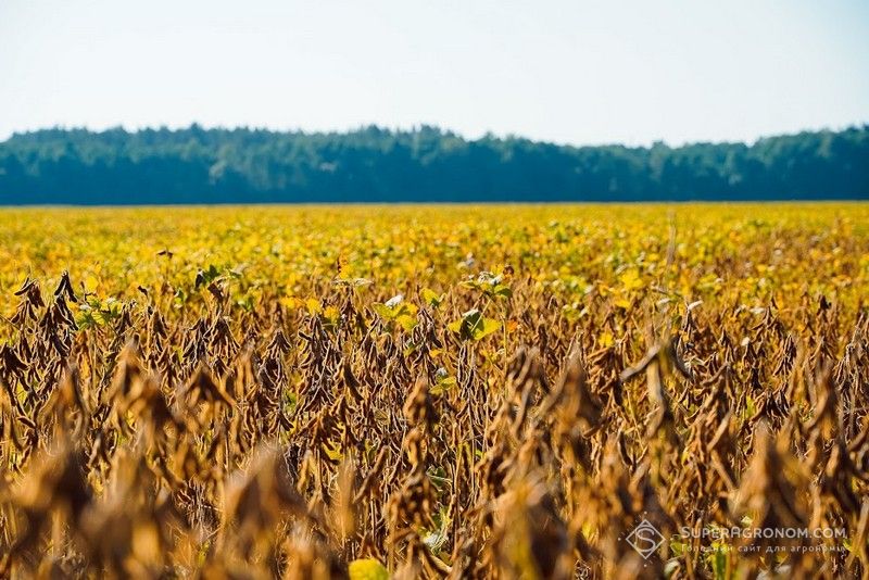 Десикація посівів сільгоспкультур — у дайджесті матеріалів