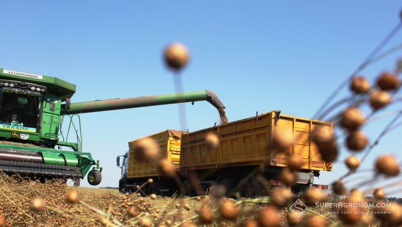 Збирання льону Збирання льону