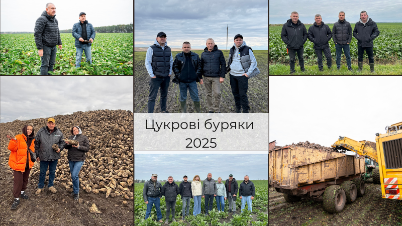 Цукрові буряки 2025: технології вирощування, проблеми та тенденції на прикладі господарств АгроЕкспедиції Цукрові буряки 2025: технології вирощування, проблеми та тенденції на прикладі господарств АгроЕкспедиції