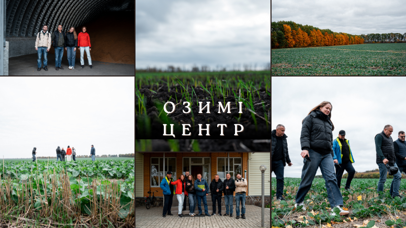 Озимий клин 2025/26: адаптація господарств Центральної України до нової кліматичної реальності