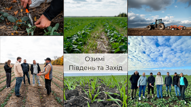 Зміщення сівби озимих зернових на пізні терміни, ріпак без рістрегуляції — вектори посівної на півдні і заході