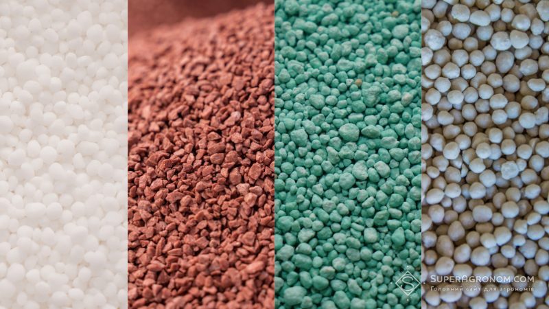 Криза добрив 2026: як глобальні події впливають на ринок України