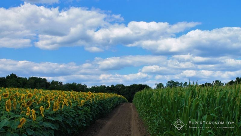 Вихід на ринок ЄС: як змінюється роль  біологічних рішень у системі захисту рослин 