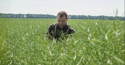 Святослав Гриневич оглядає посіви озимого ріпаку в господарстві «Агро-Еко ХХІ»