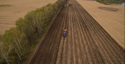 Весняна посівна на Чернігівщині: Бутенко та Агро-Регіон